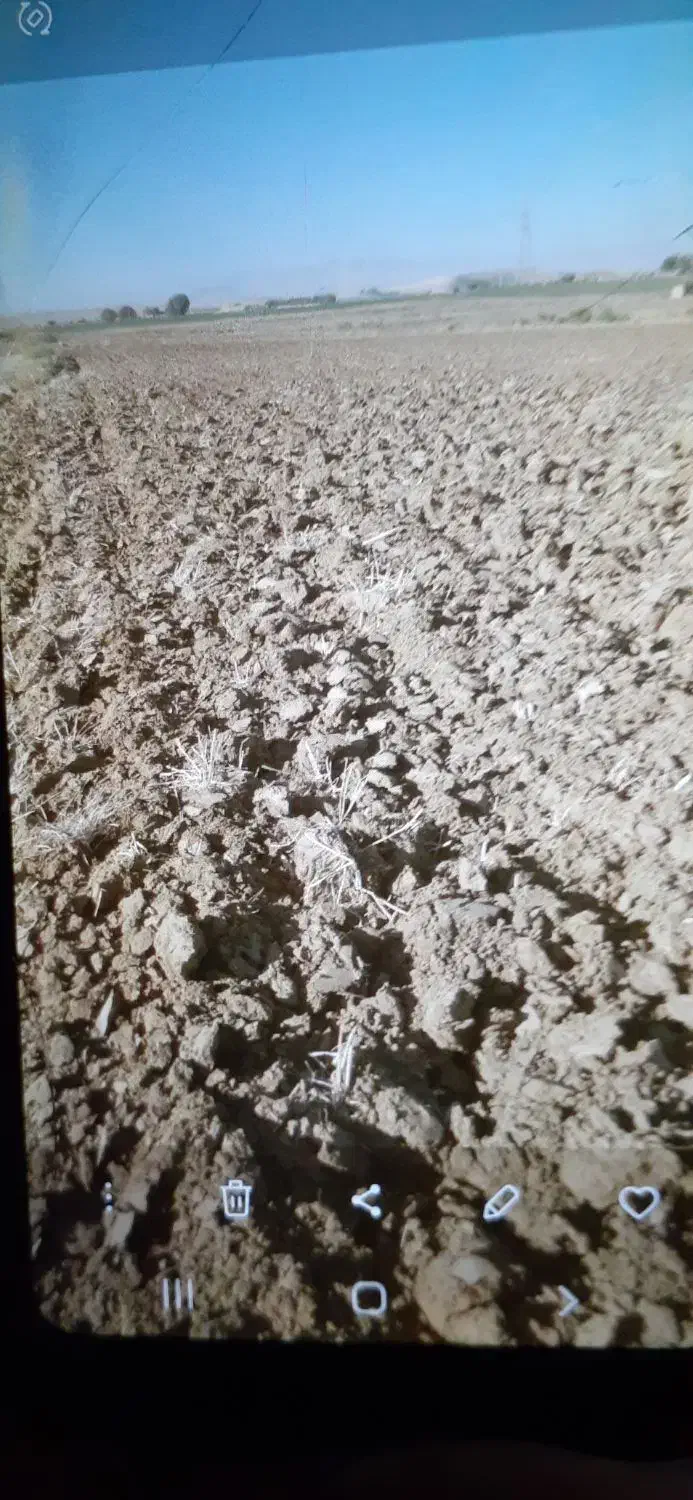 اجاره زمین کشاورزی|اجارهٔ دفتر صنعتی، کشاورزی، تجاری|میاندوآب, |دیوار