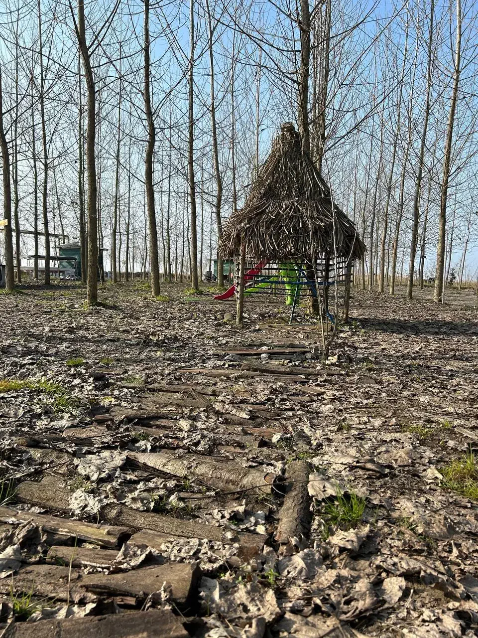 ویلایی که آرامشش ابدیه|فروش خانه و ویلا|نظرآباد, رسالت|دیوار