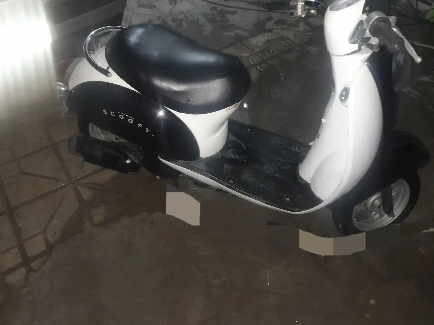 موتور اسکوپی همون پاکشتی|موتورسیکلت|داراب, |دیوار