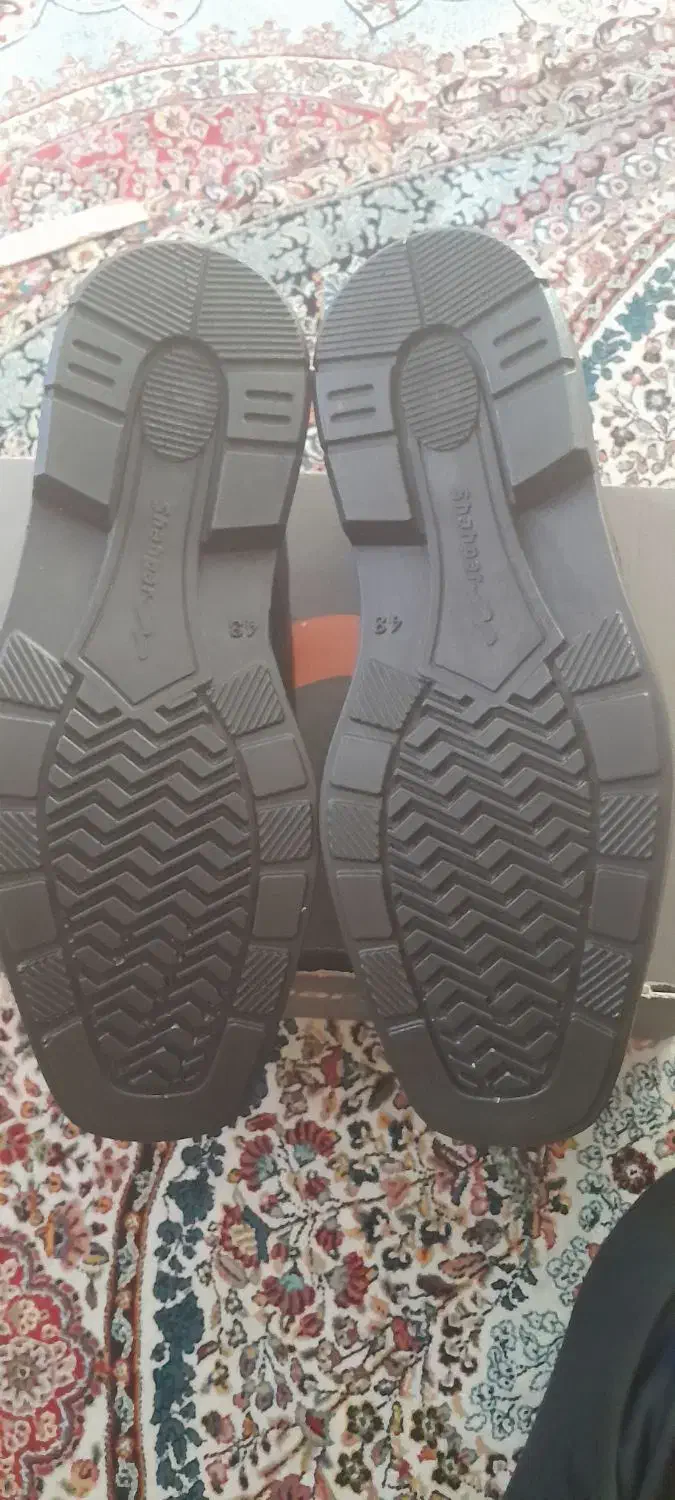 کفش مردانه|کیف، کفش، کمربند|نهاوند, |دیوار