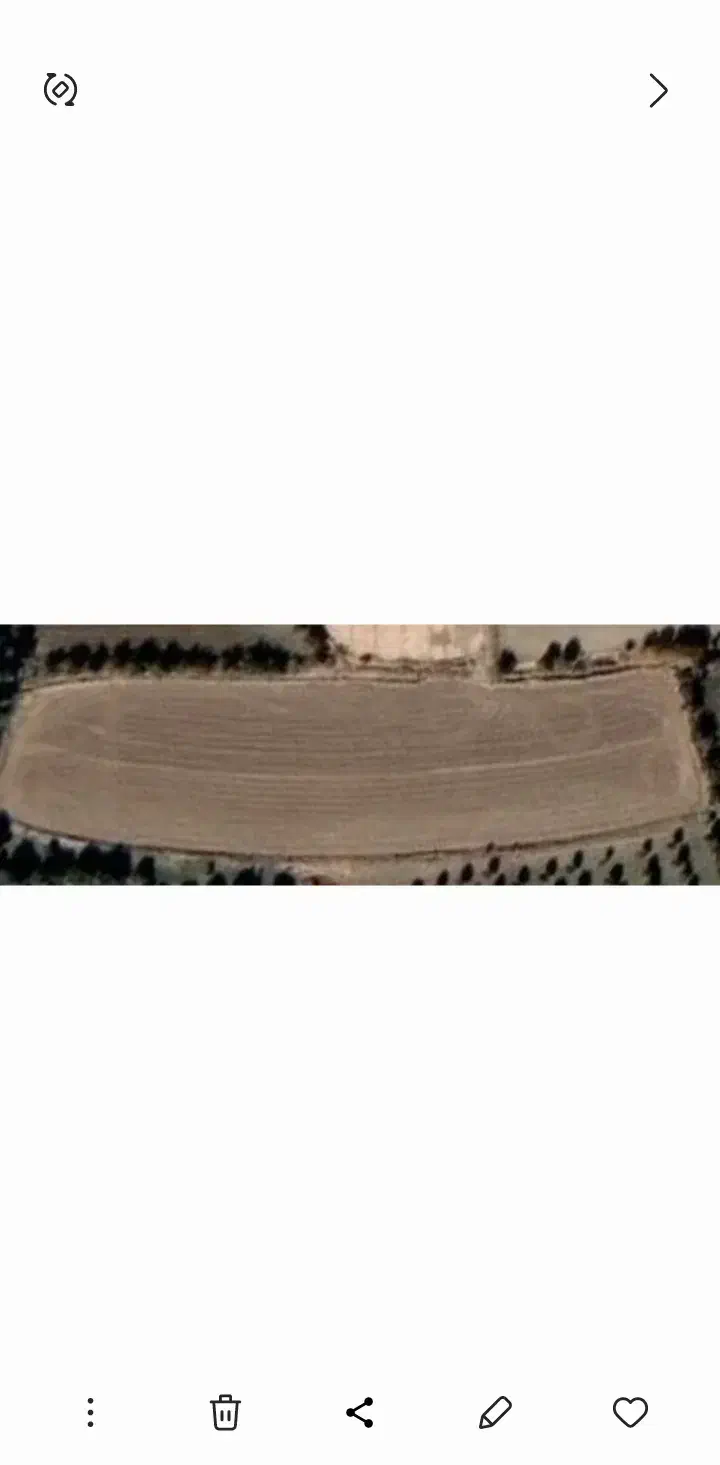 زمین کشاورزی|اجارهٔ دفتر صنعتی، کشاورزی، تجاری|میاندوآب, |دیوار