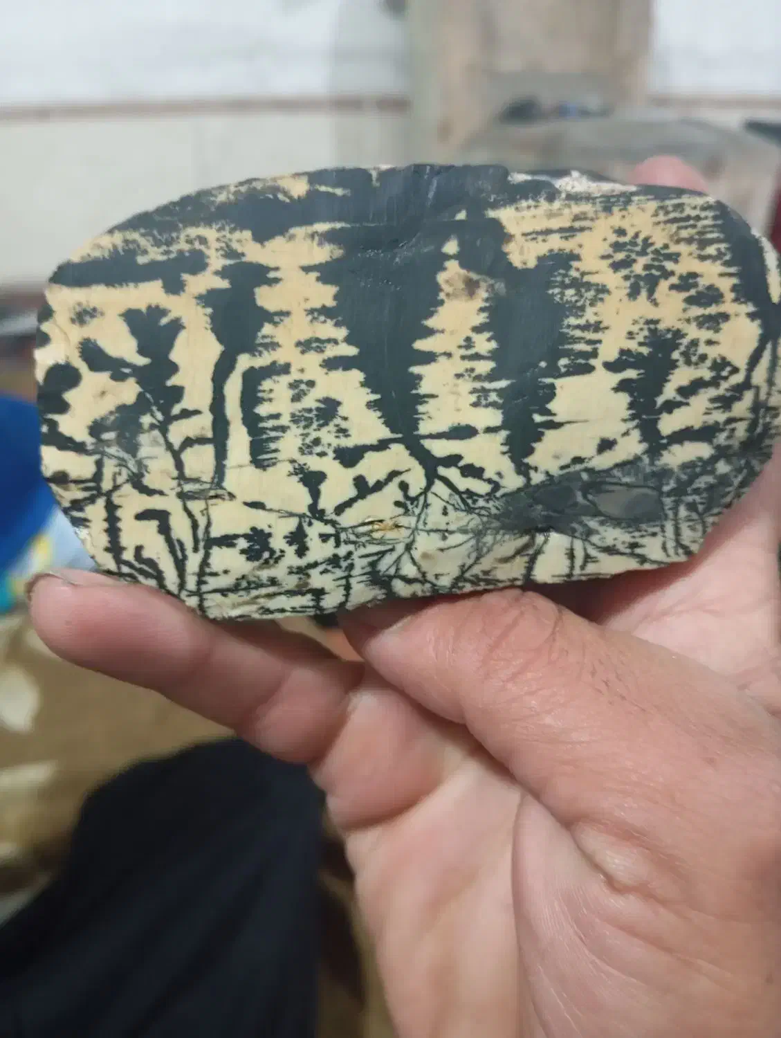 سنگ|کلکسیون اشیاء عتیقه|شیراز, شاهجیان|دیوار