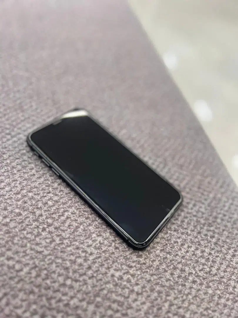 ایفون ۱۱ ۱۲۸ گیگ|موبایل|رشت, کاکتوس|دیوار