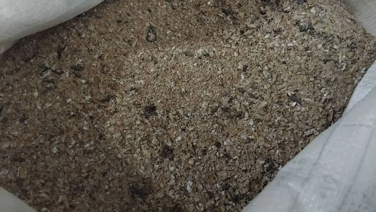 خوراک دام (کنسانتره)|عمدهفروشی|گنبد کاووس, |دیوار