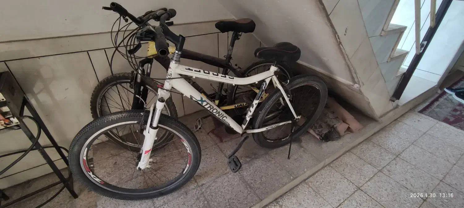 دوچرخه ۲۶|دوچرخه، اسکیت، اسکوتر|اهواز, آسیاباد|دیوار