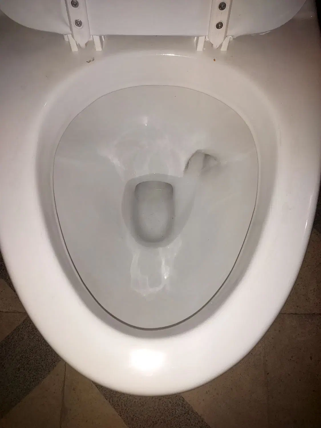 توالت فرنگی|لوازم سرویس بهداشتی|شیراز, عادل آباد|دیوار