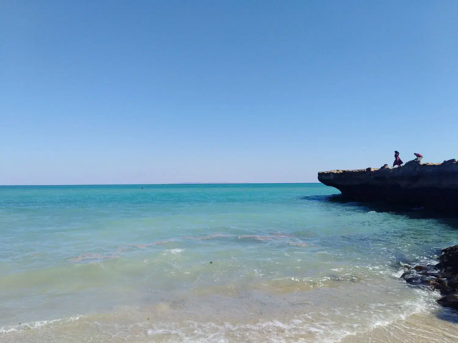 آکواریوم|ماهی|حمیدیا, |دیوار