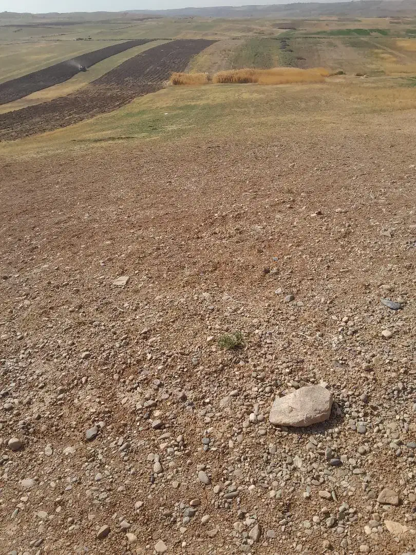 فروش فوری زمین کشاورزی|فروش زمین و ملک کلنگی|کندوان, |دیوار