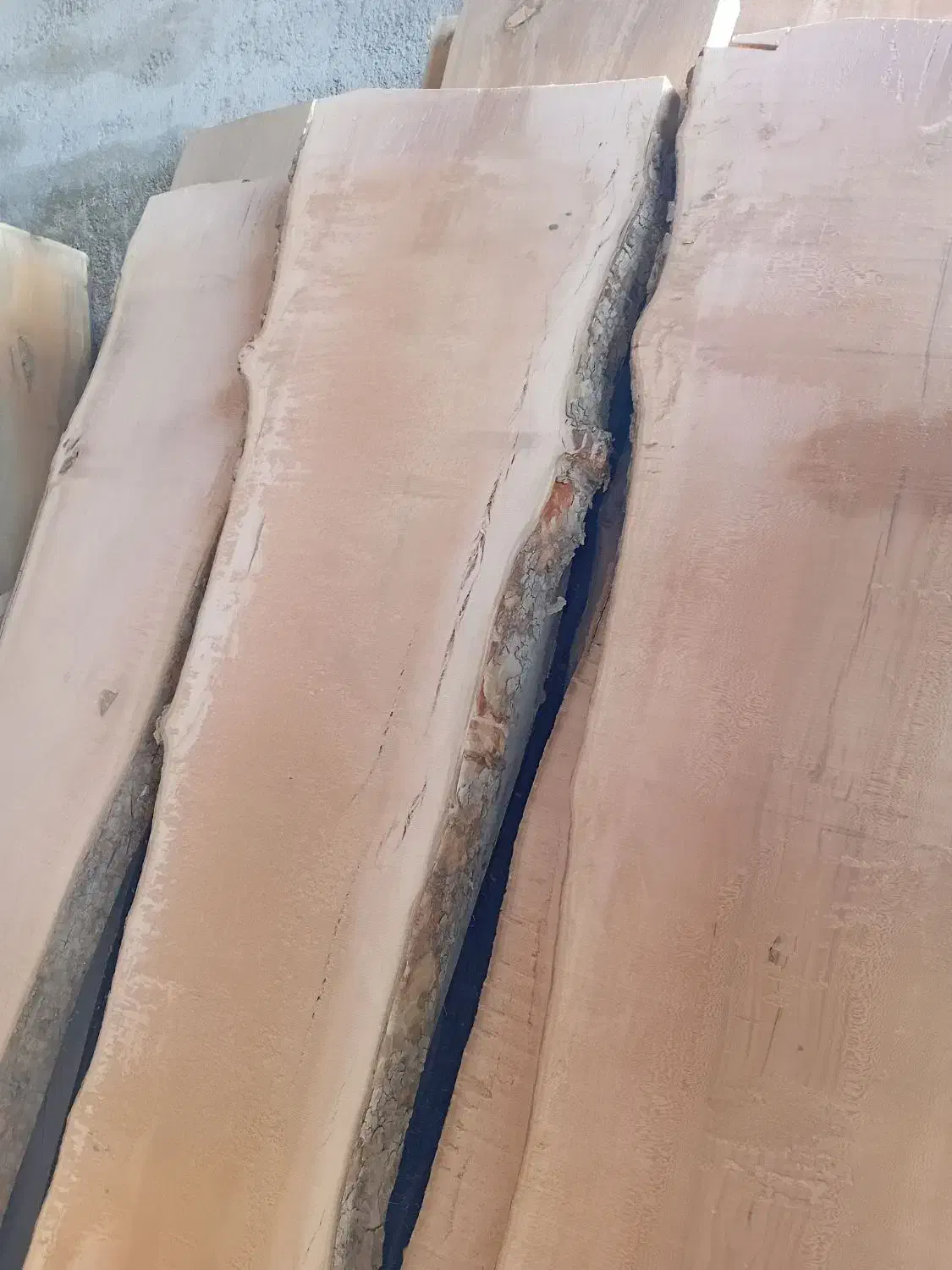 خرید انواع چوب درختان باغی و جنگلی|خدمات باغبانی و درختکاری|صفادشت, |دیوار