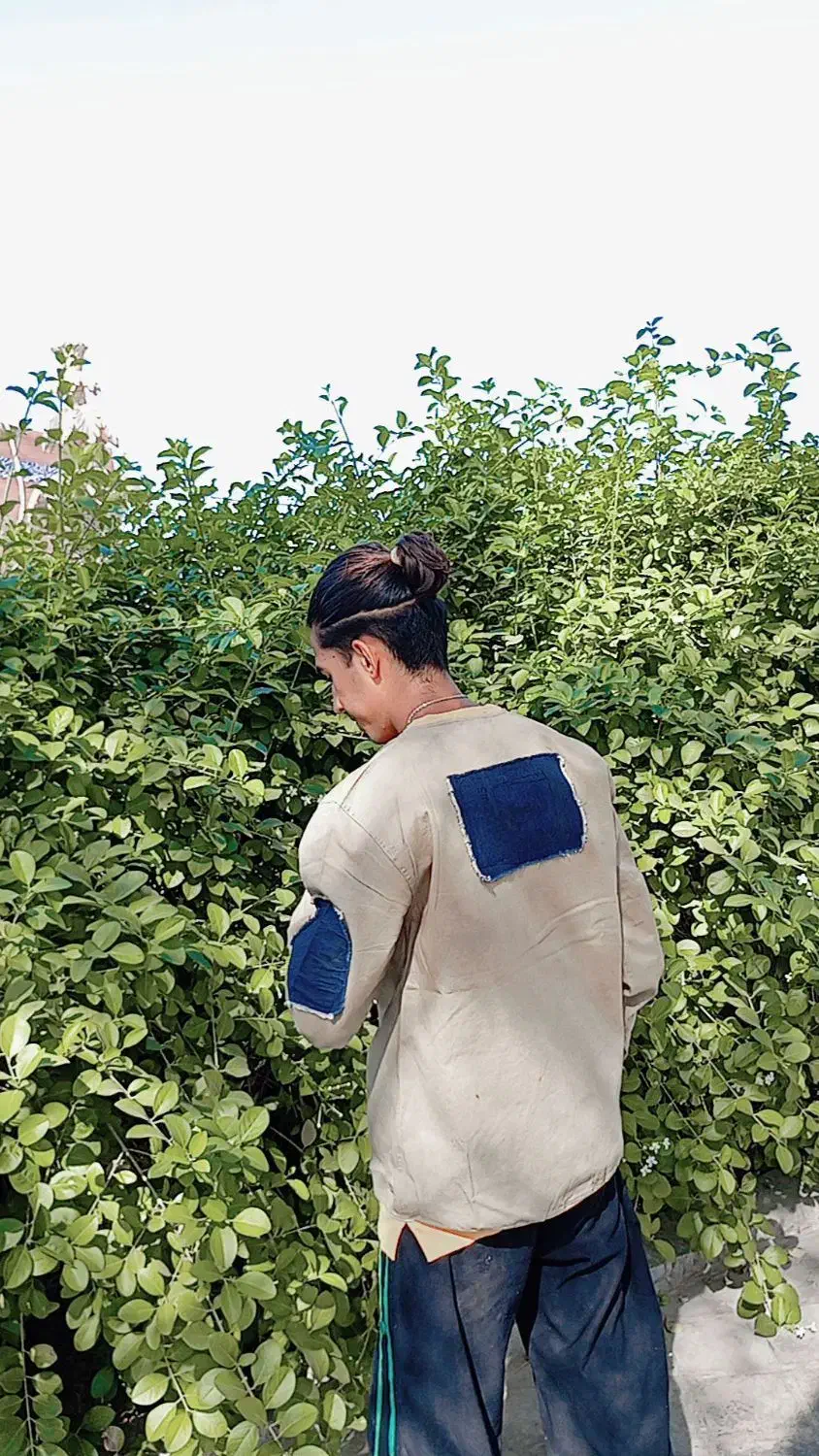 دورس به قیمت عمده فقط 580|لباس|بم, |دیوار