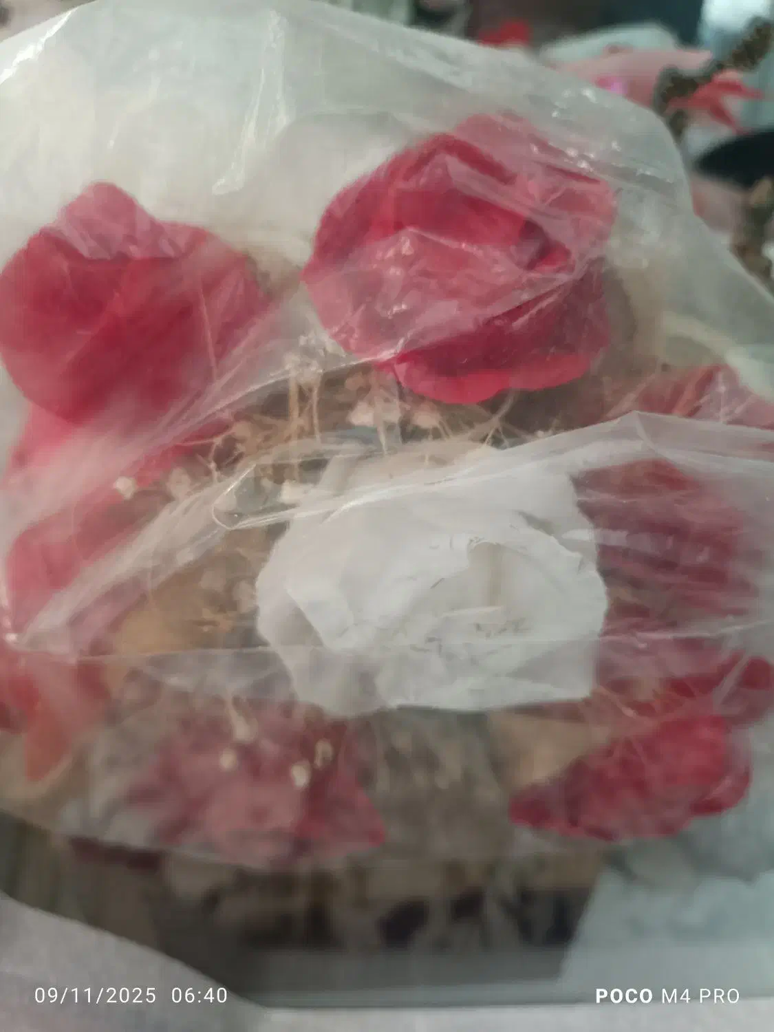 دسته گل عکس دوم|گل مصنوعی|زابل, |دیوار