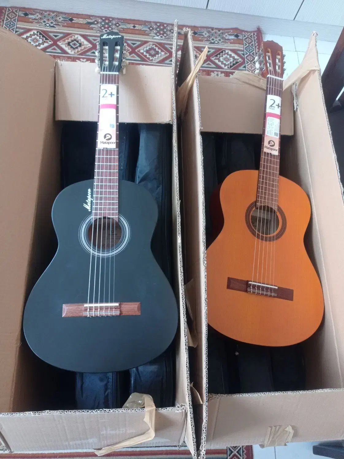 گیتار تخفیف ویژه|گیتار، بیس، امپلیفایر|مریوان, |دیوار