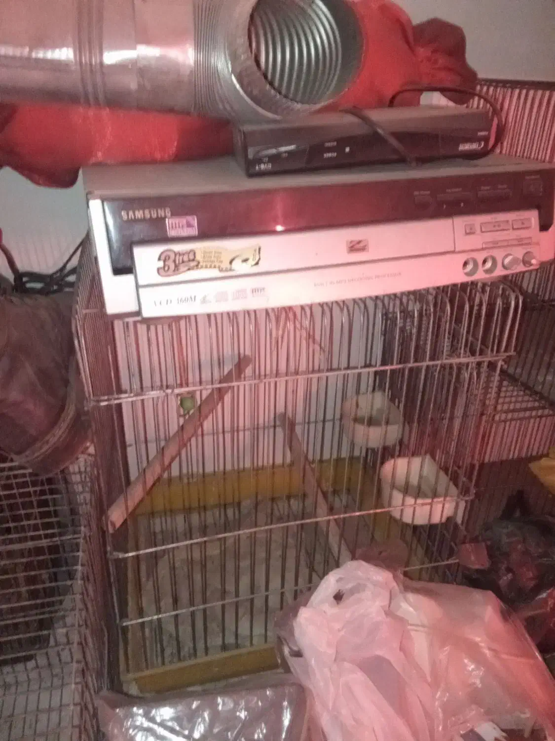 قفس پرنده|لوازم جانبی حیوانات|فردیس, فردیس|دیوار