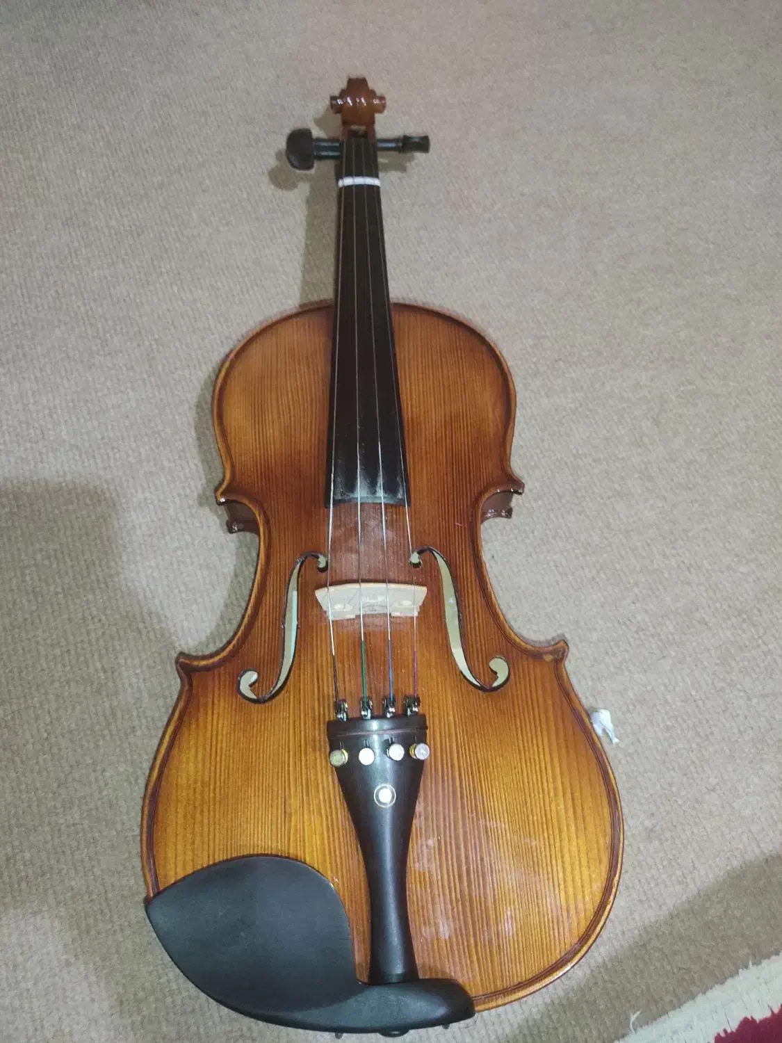 ویولن 4/4رناتو|ویولن|سنندج, |دیوار