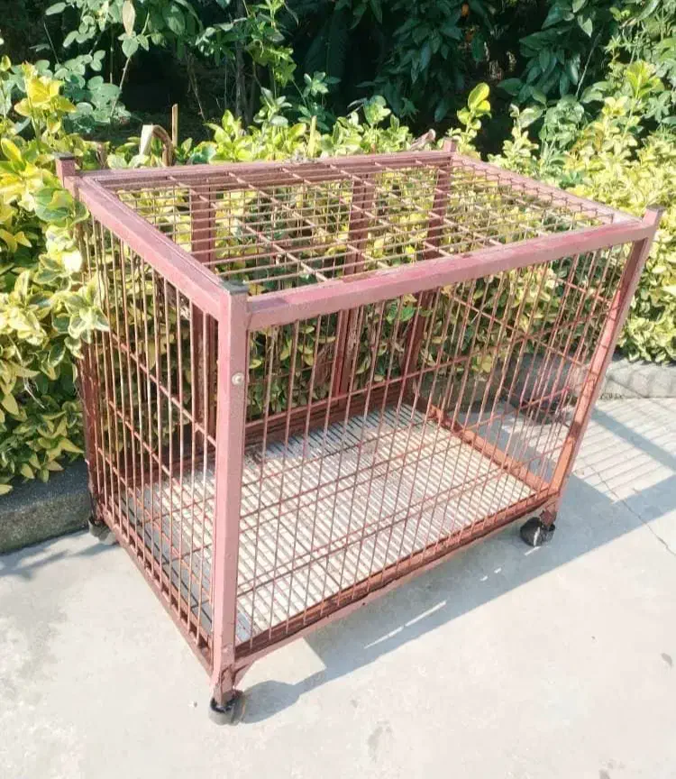 قفس پانسیون|لوازم جانبی حیوانات|رامسر, |دیوار