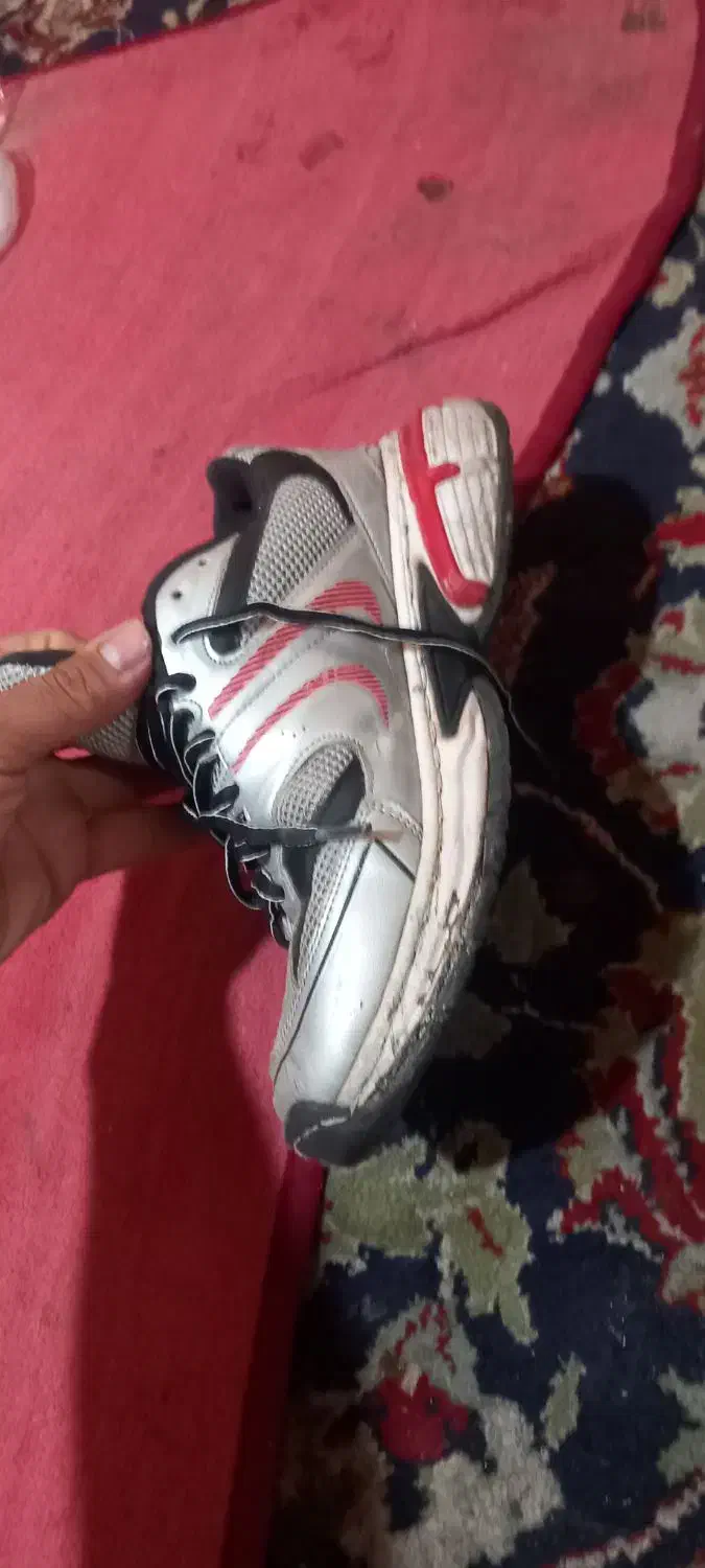 کفش دیزل شماره 41 ولی 42 هم میشه|کیف، کفش، کمربند|شیراز, سیاه سنگ|دیوار