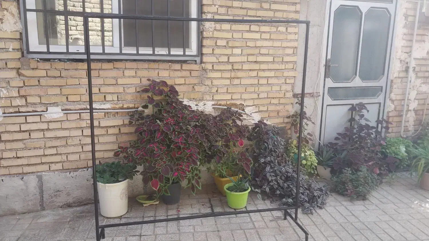 رگال اهنی لباس|بندرخت و رخت‌آویز|کلاله, |دیوار