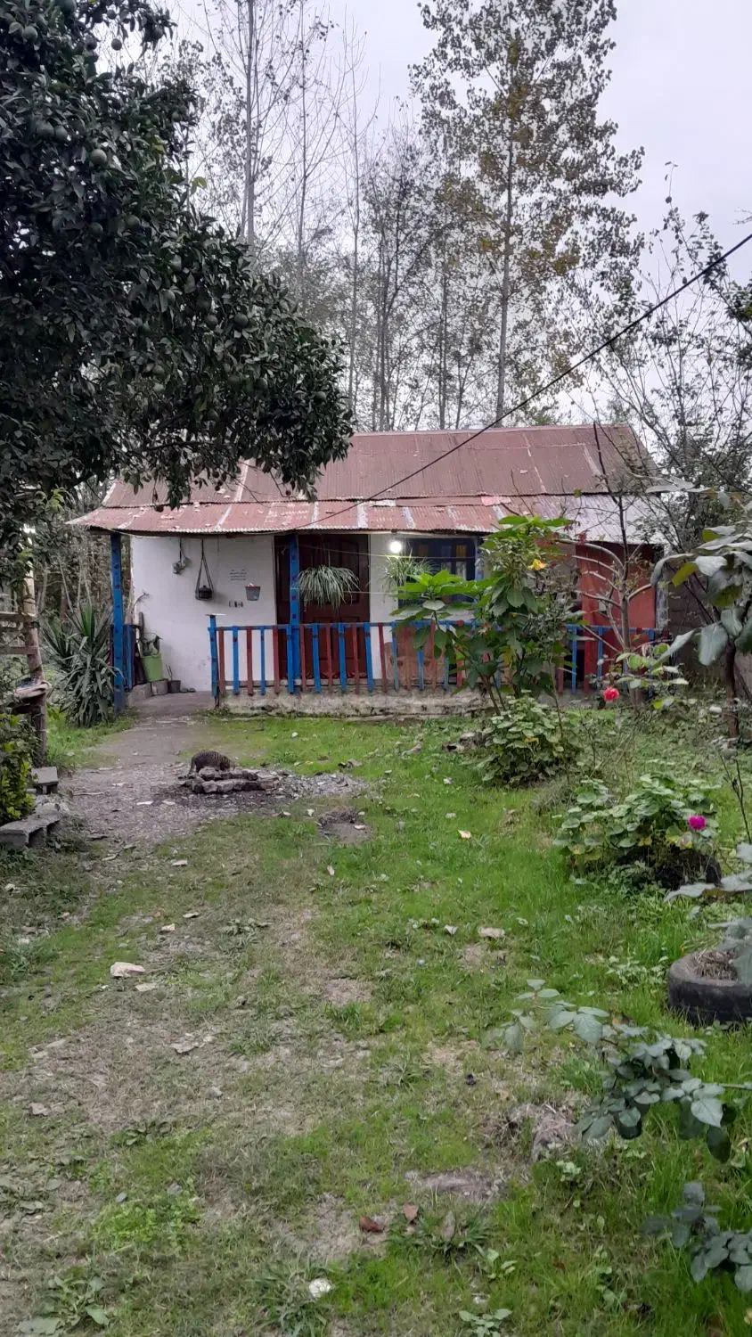 سوئیت دوخوابه و خونه سنتی تا ۳نفر ۳۵۰|اجارهٔ کوتاهمدت آپارتمان و سوئیت|ماسال, |دیوار