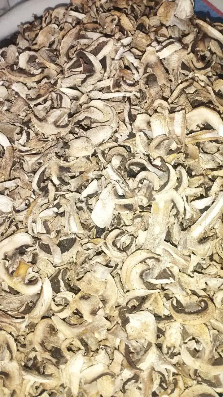 قارچ خشک|خوردنی و آشامیدنی|اژیه, |دیوار