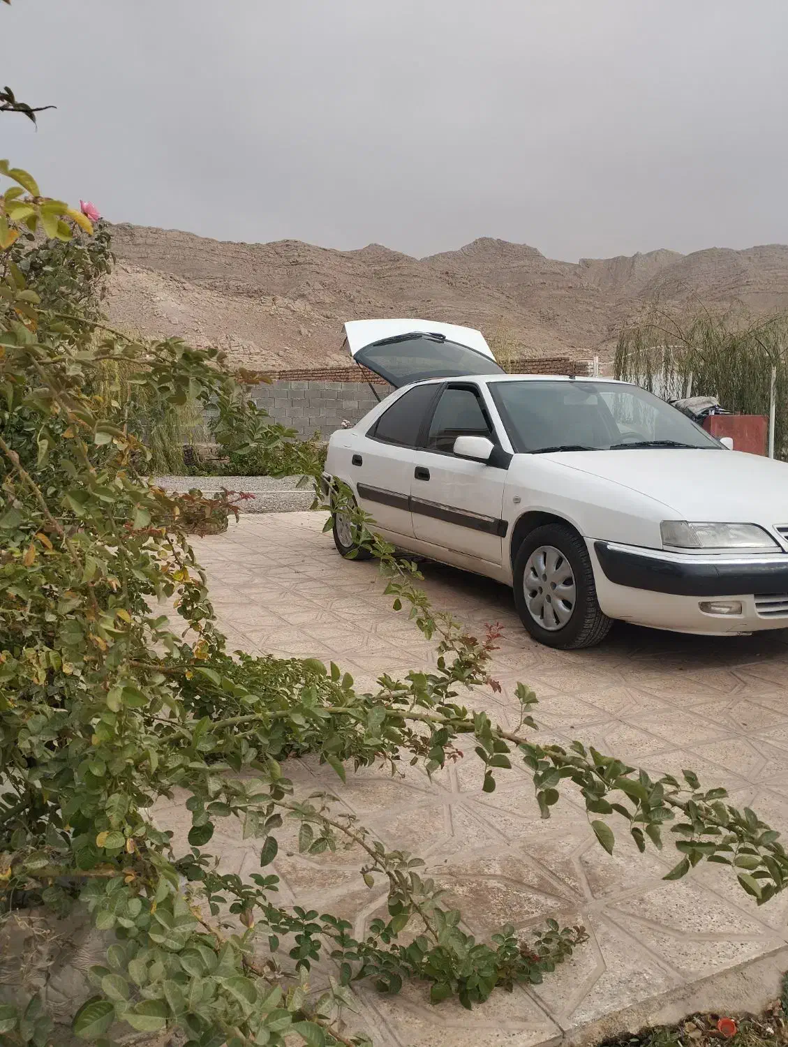 زانتیا ۲۰۰۰ مدل ۸۷|خودرو سواری و وانت|مشهد, سرافرازان|دیوار