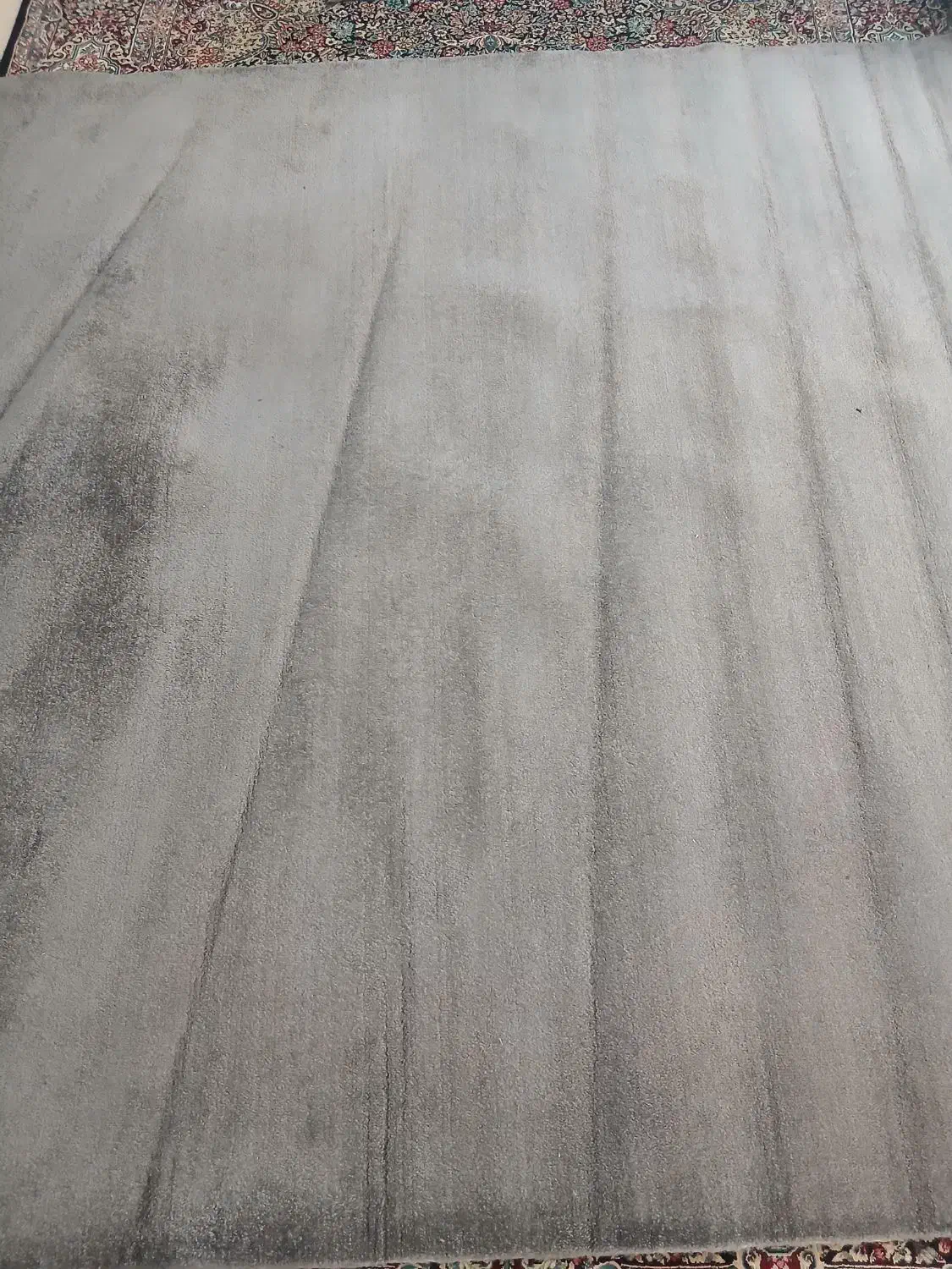 موکت پالاز اتاق|موکت|اراک, |دیوار