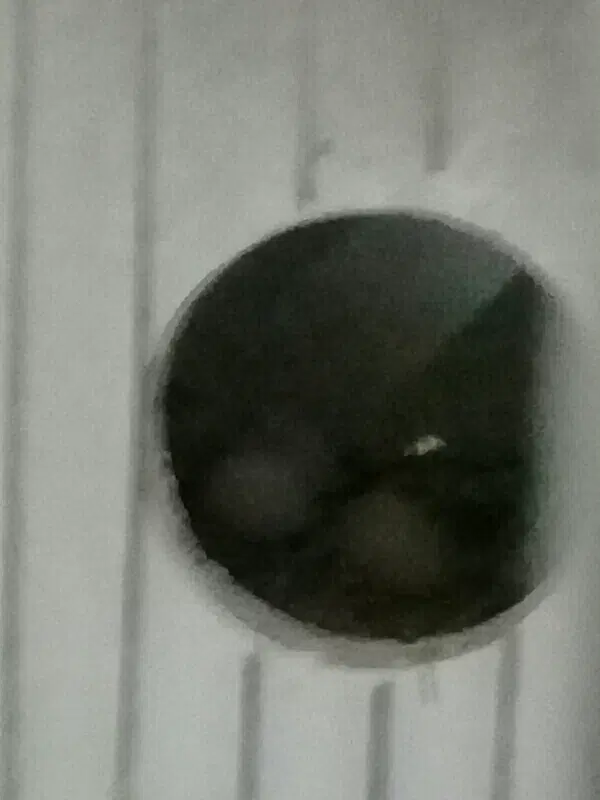 خط دایمی همراه اول قبض میادماهیانه|سیمکارت|تهران, سلسبیل جنوبی|دیوار