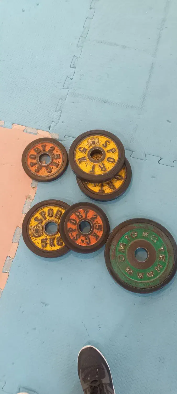 صحفه هالتر|تجهیزات ورزشی|شیراز, فرودگاه شهید دستغیب شیراز|دیوار