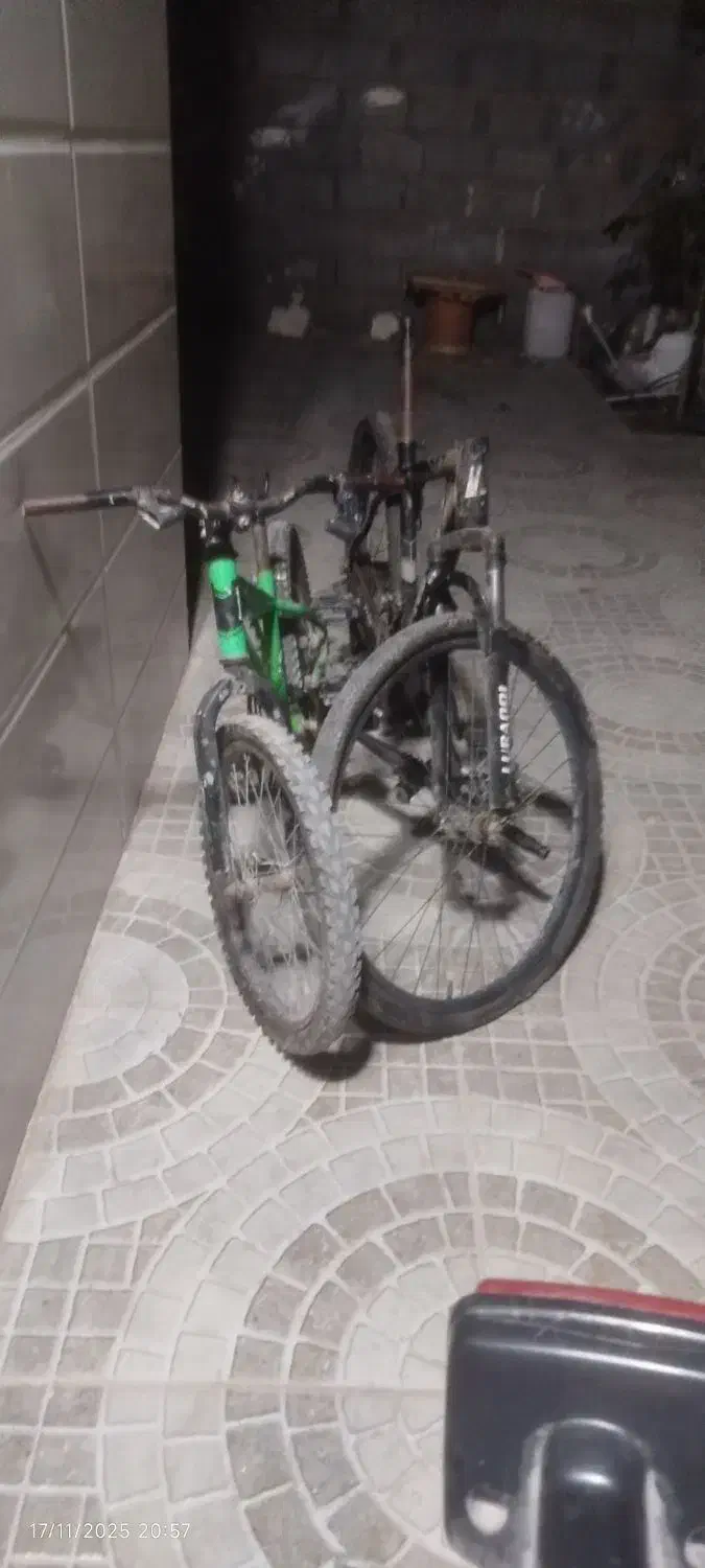 دوچرخه|دوچرخه، اسکیت، اسکوتر|میناب, |دیوار