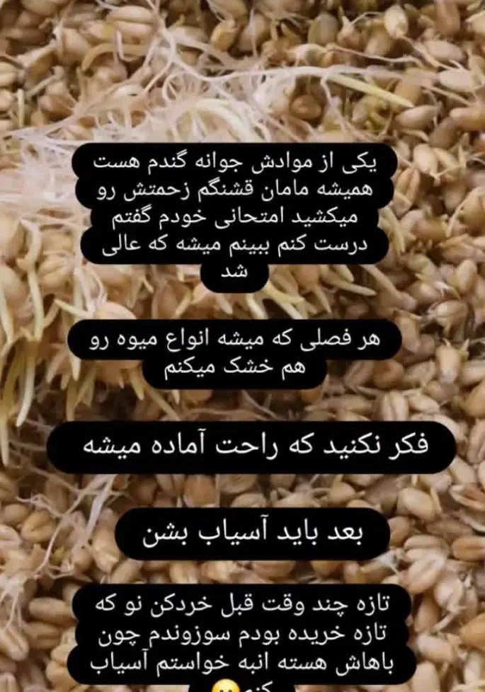 ماسک گیاهی دستساز|آرایشی، بهداشتی، درمانی|سراوان, |دیوار