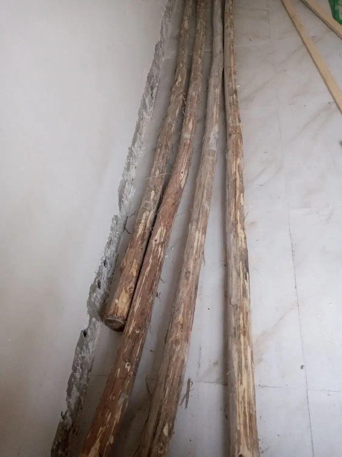 چوب|مصالح و تجهیزات ساختمان|رشت, کوی امام رضا|دیوار