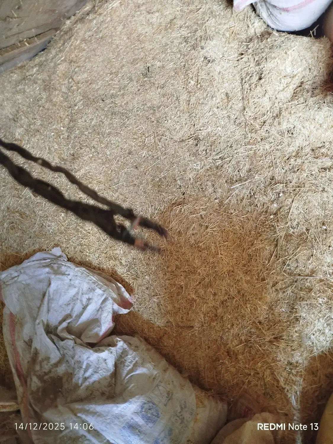 کاه و یونجه|لوازم جانبی حیوانات|بروجرد, |دیوار