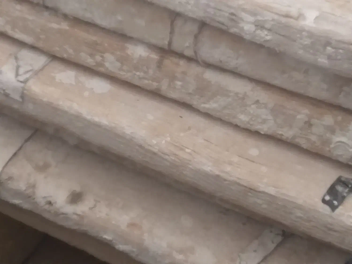 تخته گچ کاری|مصالح و تجهیزات ساختمان|شیراز, گویم|دیوار