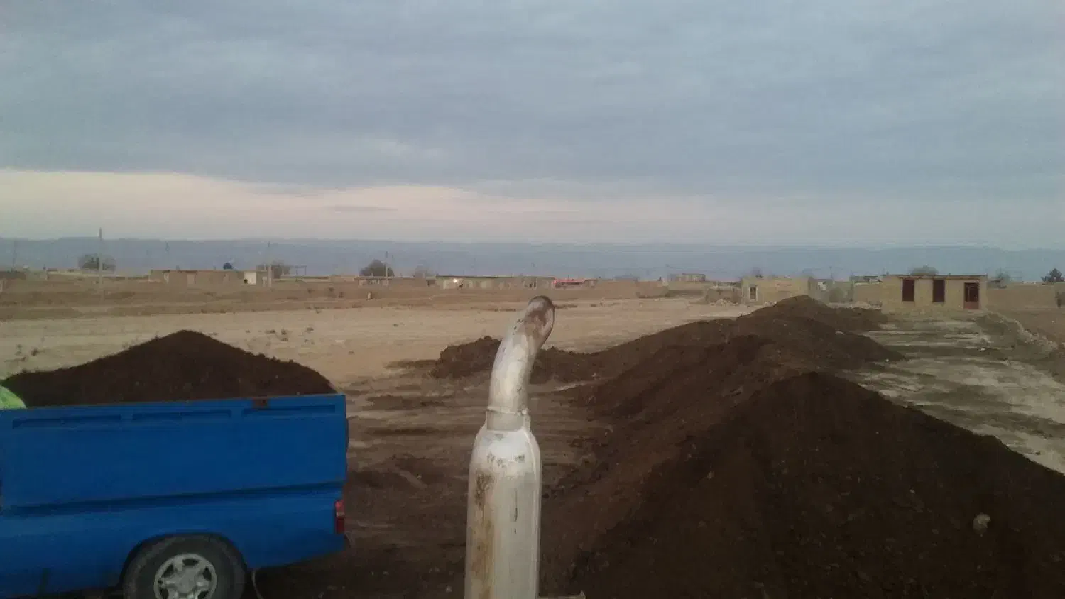 کودگاوی|خدمات باغبانی و درختکاری|مشهد, میان ولایت|دیوار