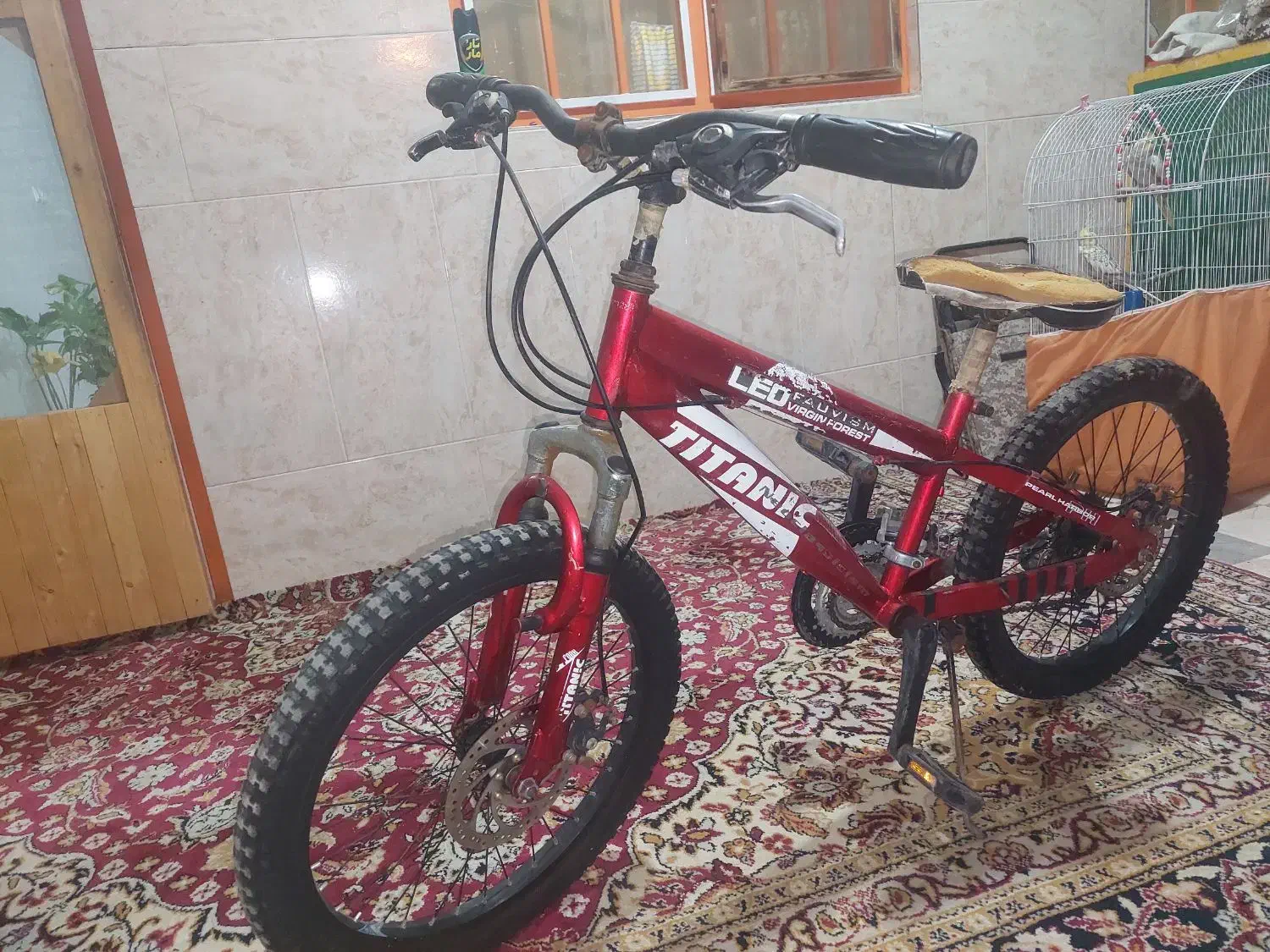 دوچرخه ۲۰ و ۲۶|دوچرخه، اسکیت، اسکوتر|قم, آزادگان|دیوار