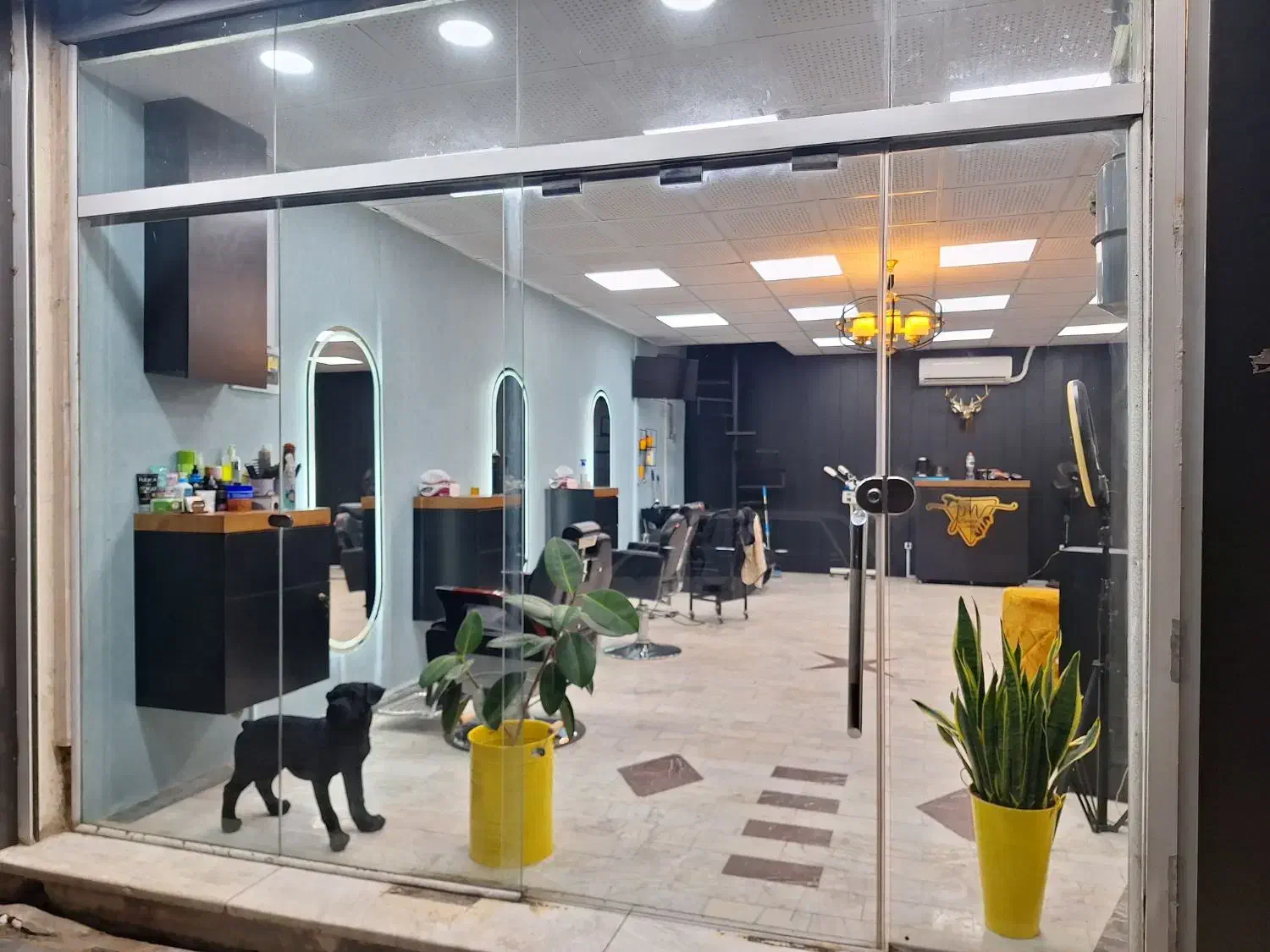 دعوت به همکاری در آرایشگاه مردانه|استخدام درمانی، زیبایی، بهداشتی|چالوس, |دیوار