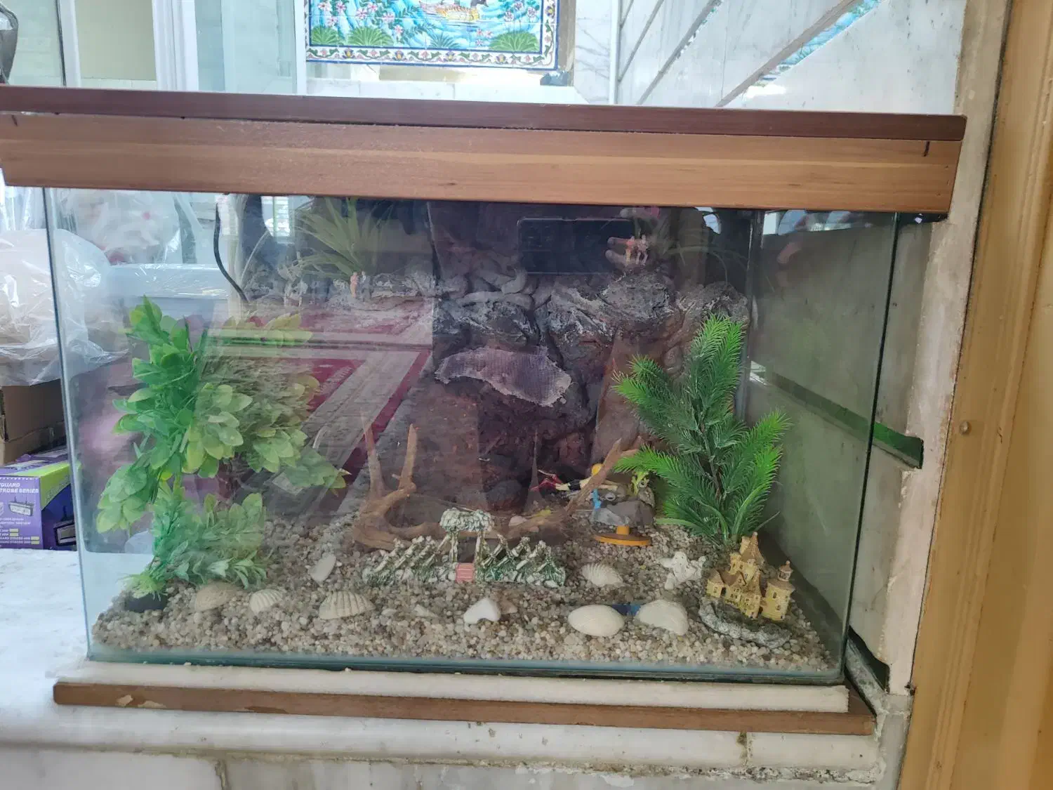 آکواریوم|ماهی|مبارکه, |دیوار