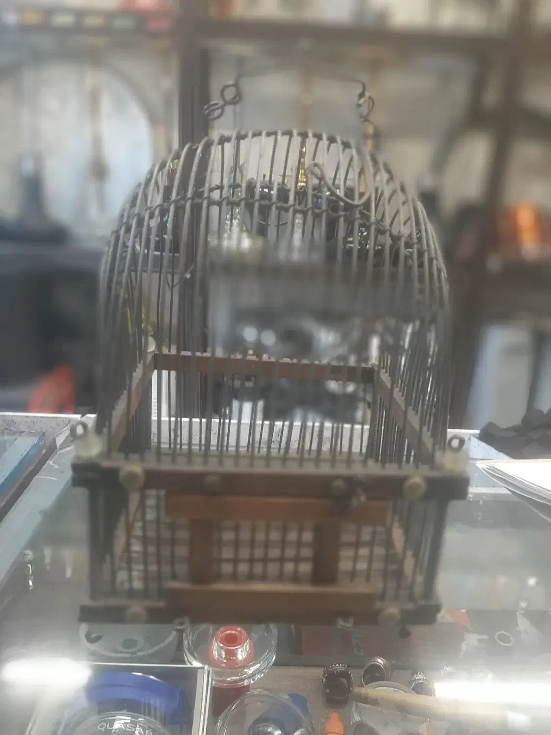 قفس قدیمی|لوازم جانبی حیوانات|تهران, قیطریه|دیوار