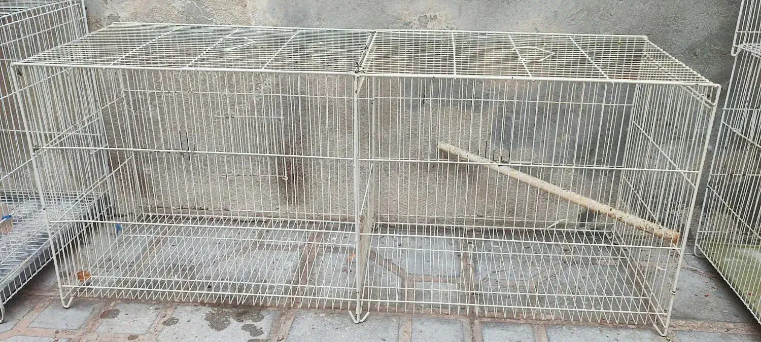 قفس پرنده مناسب قناری عروس هلندی و..|لوازم جانبی حیوانات|فردوس (خراسان), |دیوار