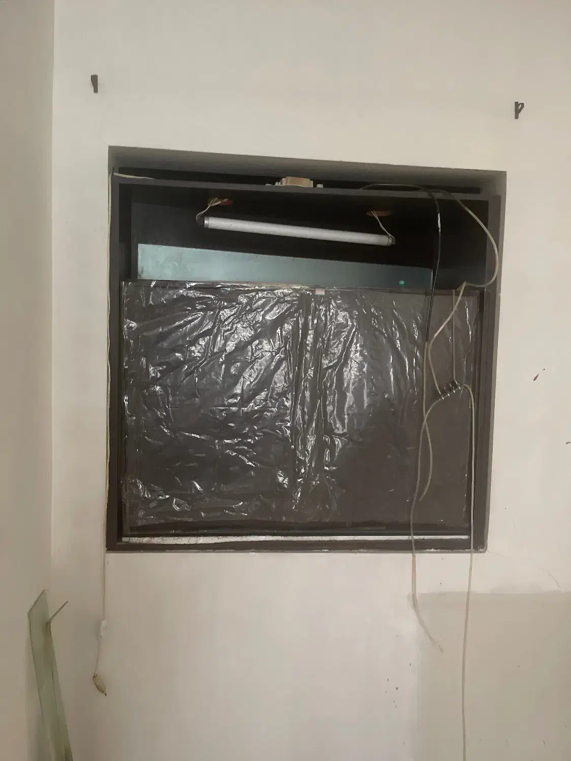 آکواریوم|ماهی|رشت, نظری|دیوار