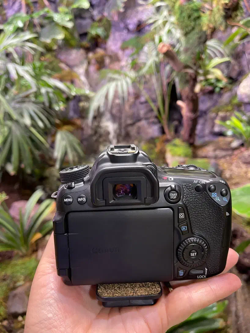 دوربین کانن d70 در حد آک با لنز 50به همراه سه پایه|دوربین عکاسی و فیلم‌برداری|شیراز, قدوسی شرقی|دیوار