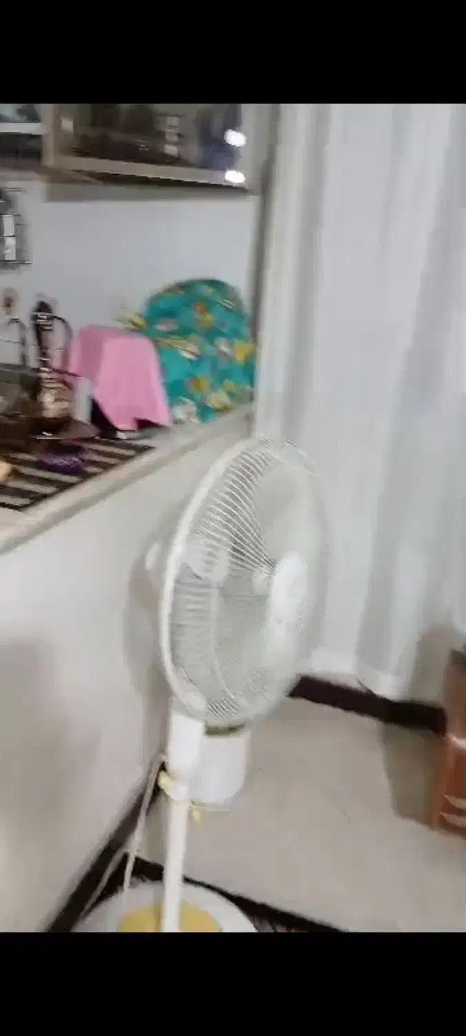 فروش|حراج|ابهر, |دیوار