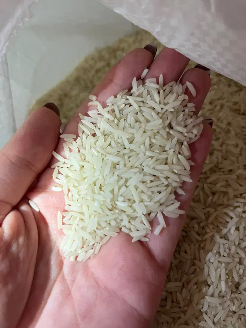 برنج هاشمی درجه یک محصول امسال|خوردنی و آشامیدنی|رشت, پیرکلاچای|دیوار