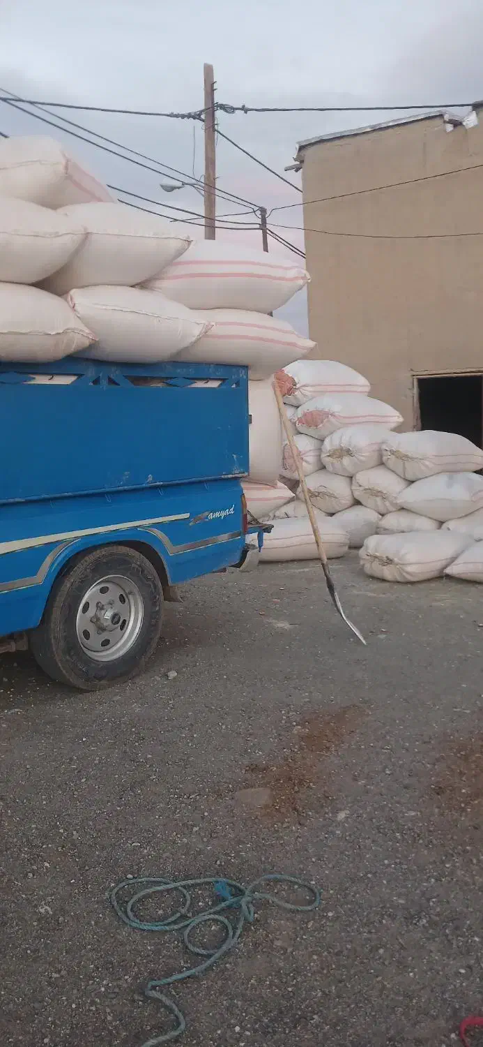 کاه خرمن کوب|لوازم جانبی حیوانات|دورود, |دیوار