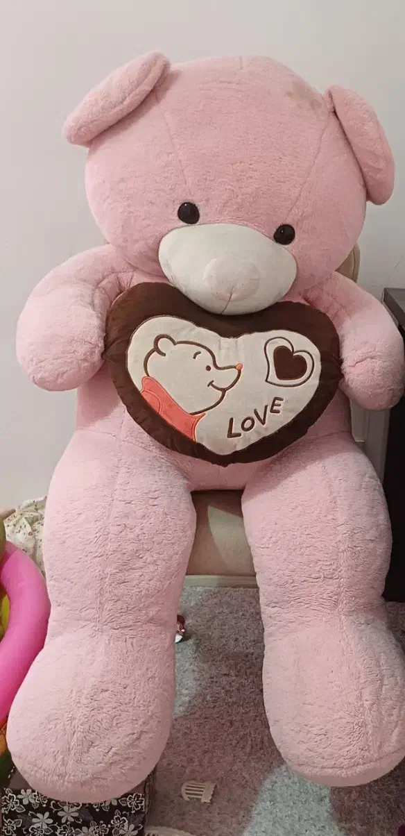 عروسک خرس بزرگ|اسباببازی بچه|مشکیندشت, |دیوار