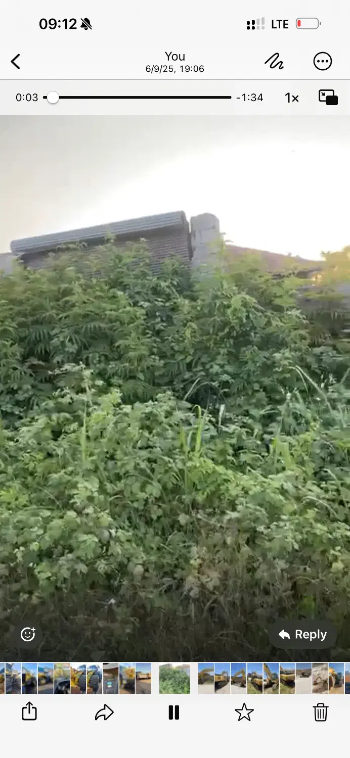 فروش زمین ۲۱۴ متری|فروش زمین و ملک کلنگی|رودسر, |دیوار