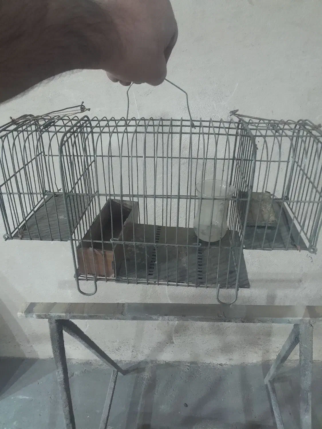 قفس تله|لوازم جانبی حیوانات|همدان, |دیوار