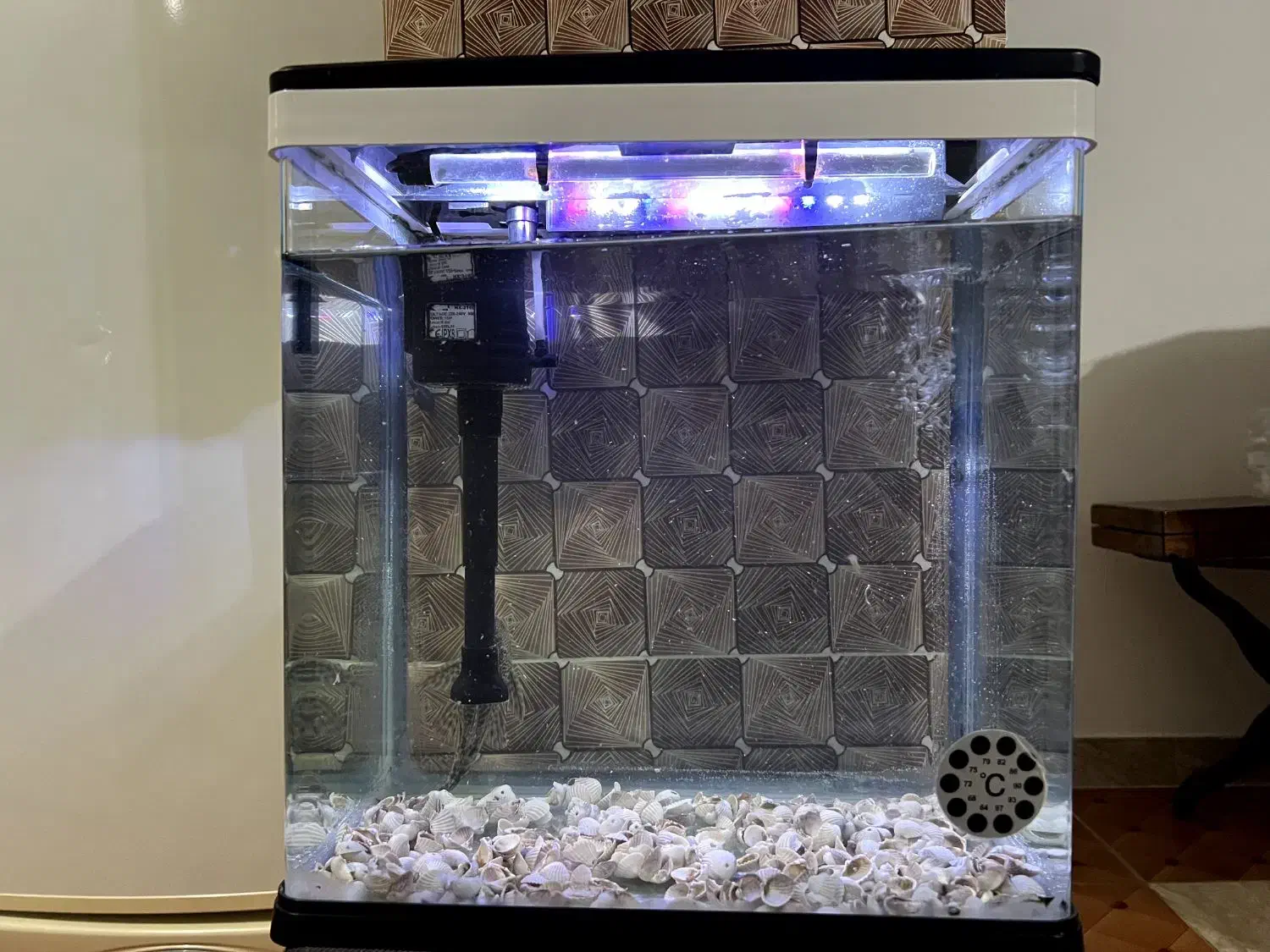 آکواریوم|ماهی|سقز, |دیوار