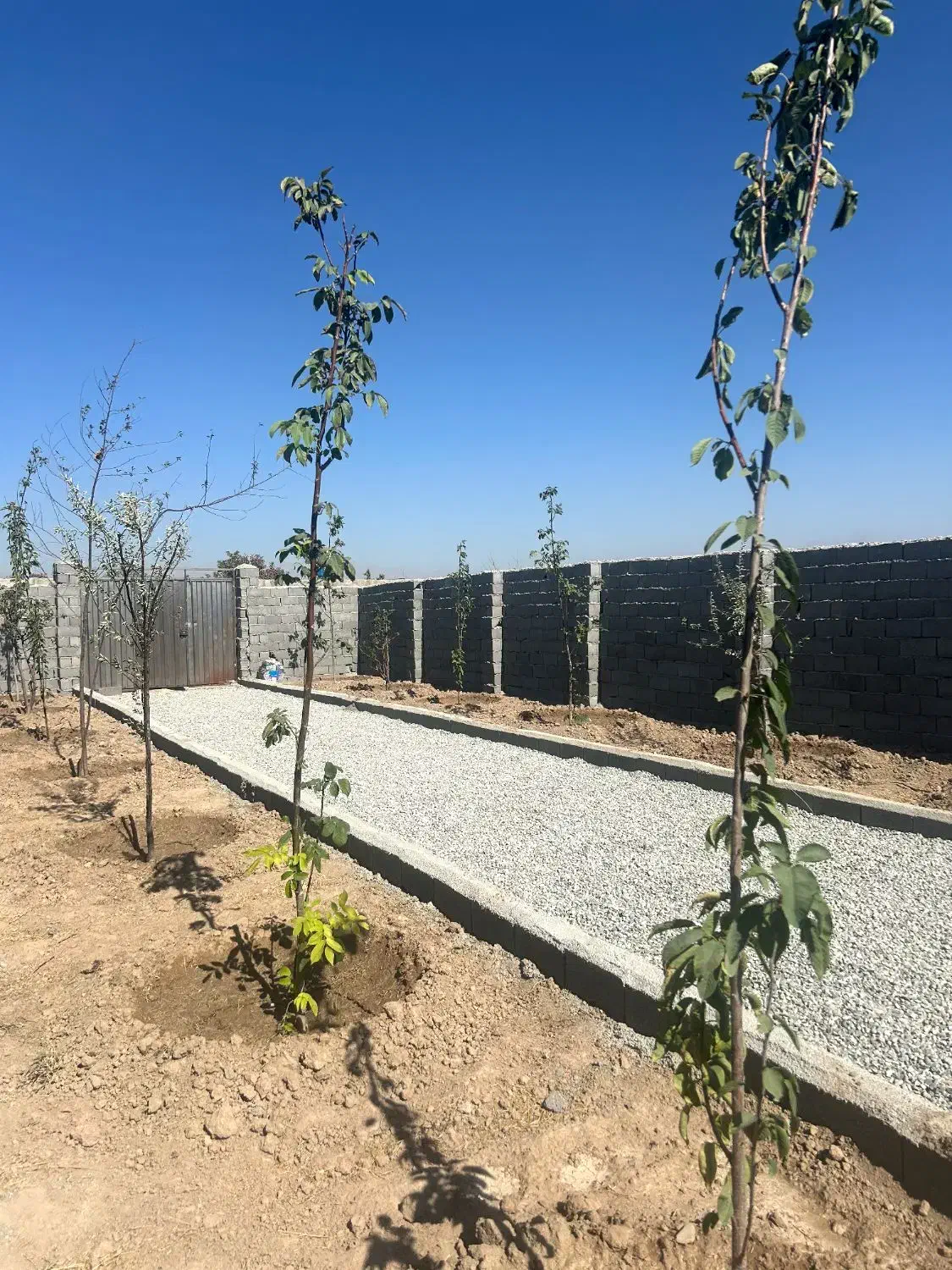 باغ ۲۶۷ متری/سهمیه آب،شرایط اقساط|فروش زمین و ملک کلنگی|اسلامشهر, شهرک احمدیه|دیوار