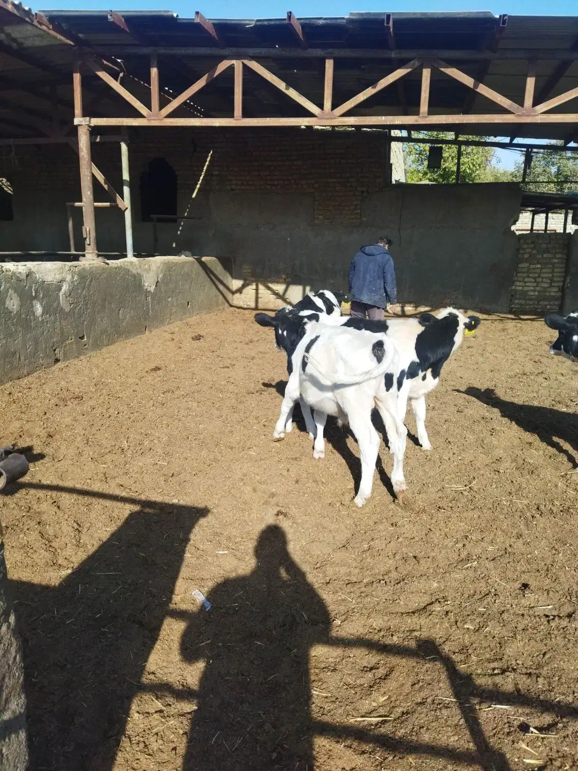 نیروی خانم|استخدام سرایداری و نظافت|گلبهار, شهر جدید گلبهار|دیوار