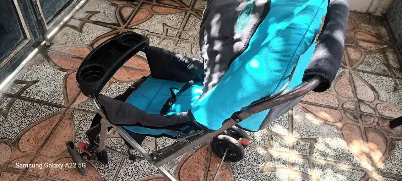 کالسکه|کالسکه و لوازم جانبی|باغستان, |دیوار